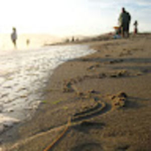 Meet your Posher, Becky